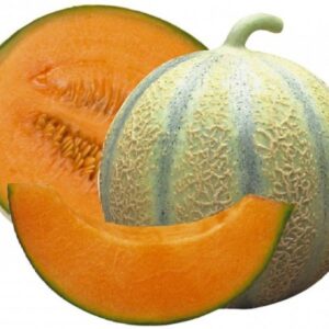 Melon