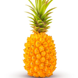 Ananas victoria